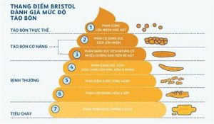 Phân loại rối loạn tiêu hóa ở trẻ theo thang điểm Bristol 