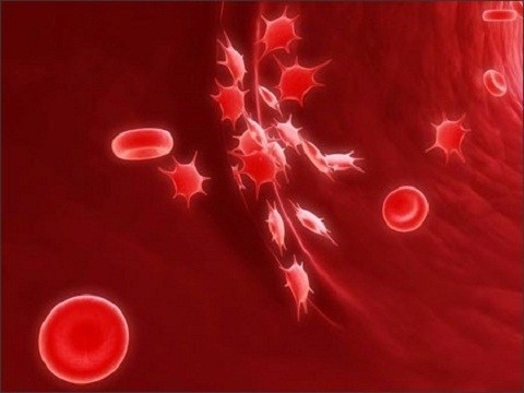 Nhóm máu liên quan đến bệnh ung thư