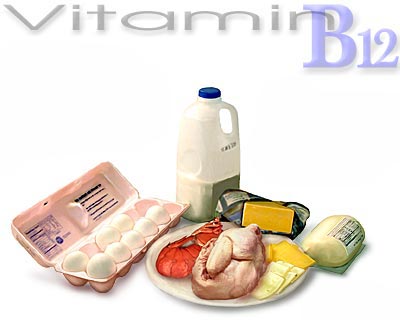 Tác dụng của Vitamin B12 